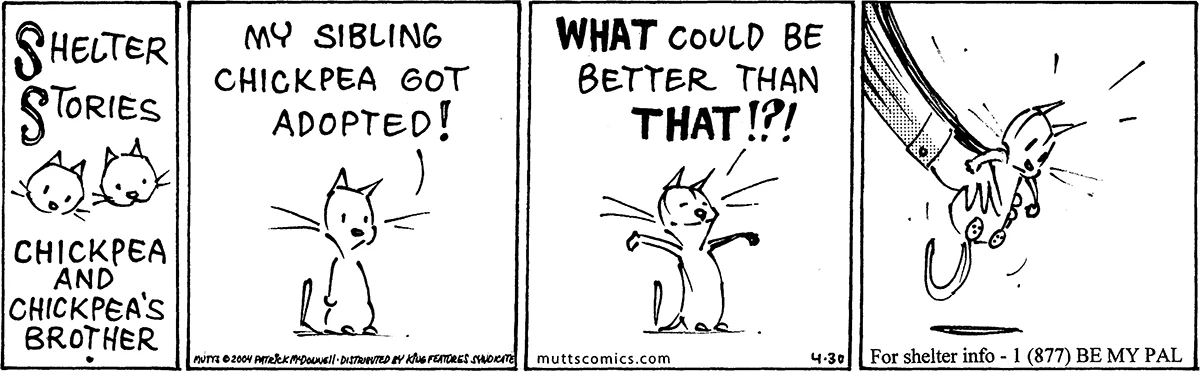 April 30 2004, Daily Comic Strip
