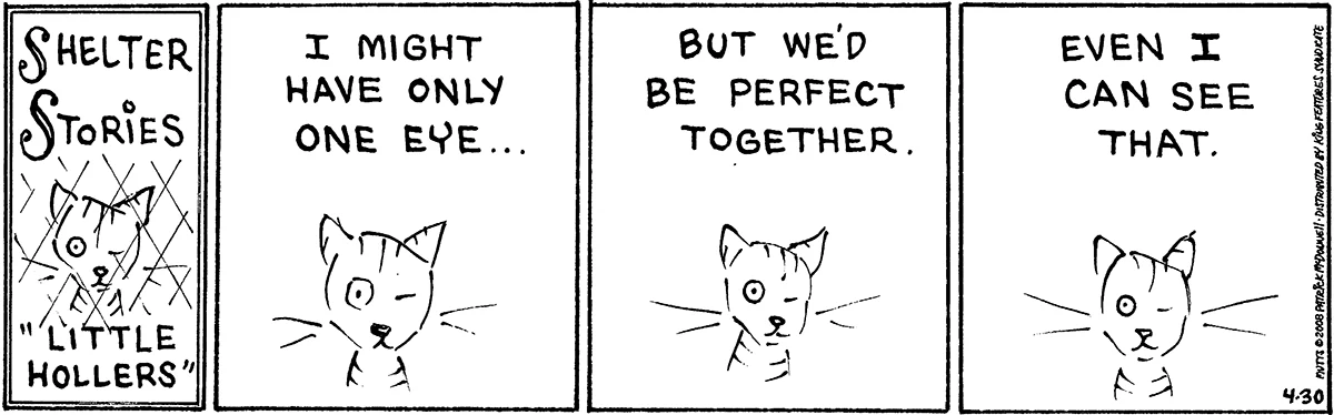April 30 2008, Daily Comic Strip