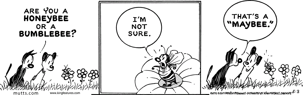 May 3 2019, Daily Comic Strip