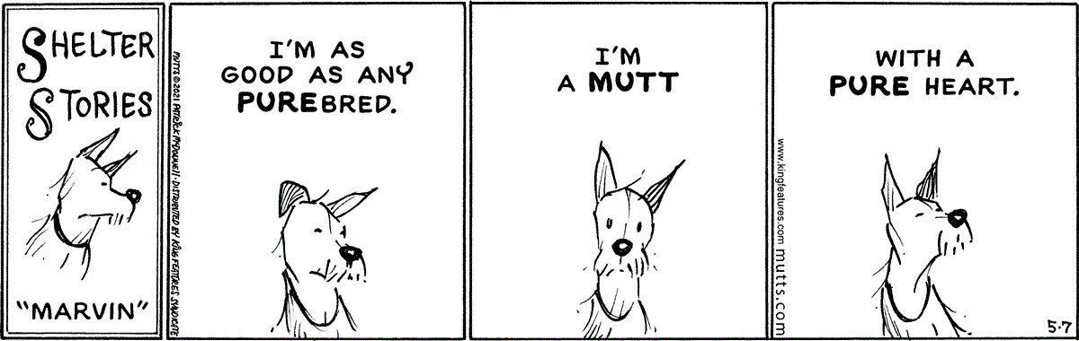 May 7 2021, Daily Comic Strip