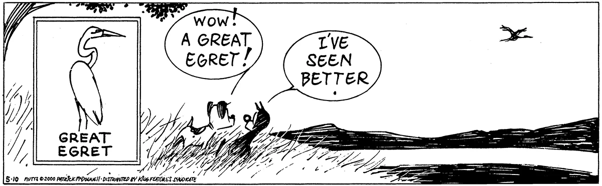 May 10 2000, Daily Comic Strip