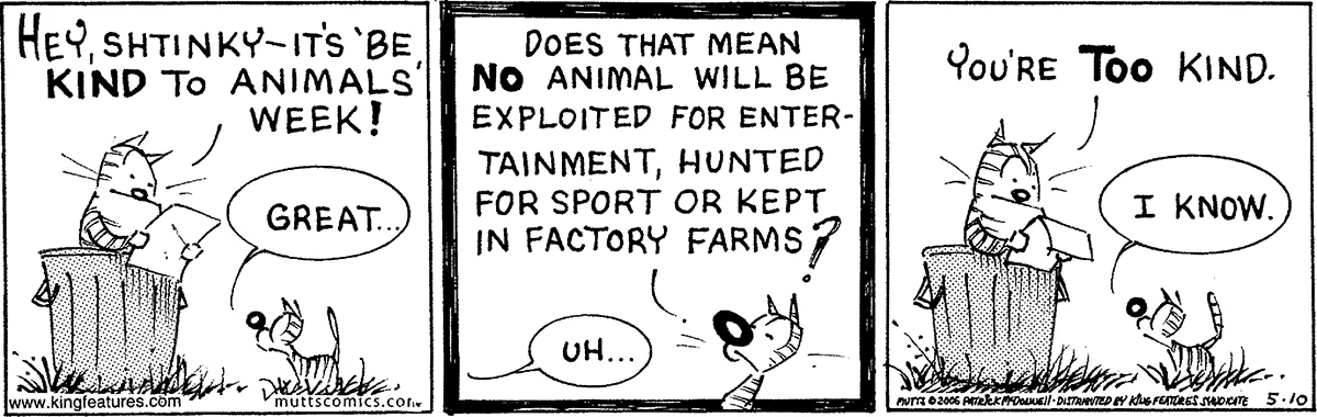 May 10 2006, Daily Comic Strip