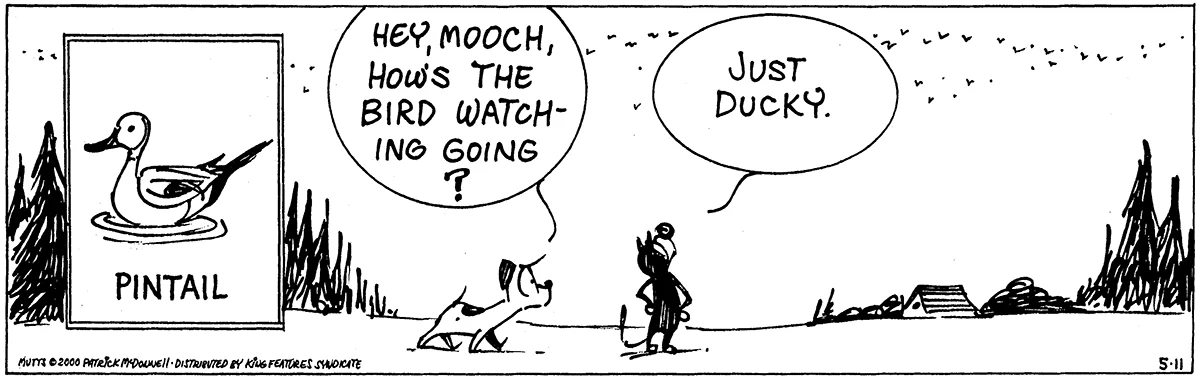May 11 2000, Daily Comic Strip