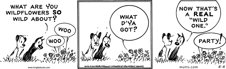 May 11 2016, Daily Comic Strip