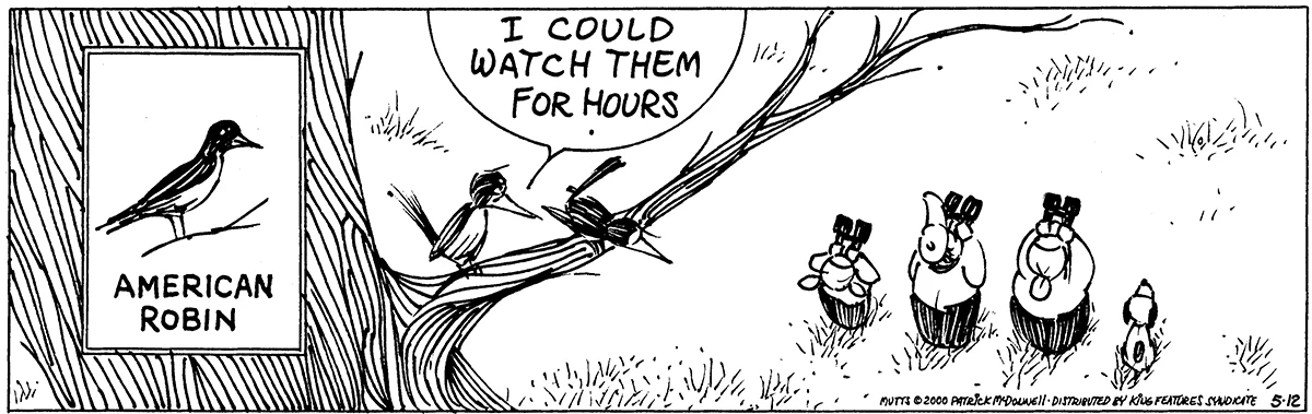 May 12 2000, Daily Comic Strip