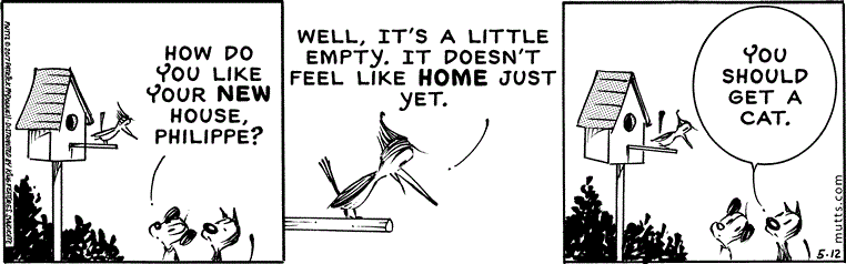 May 12 2017, Daily Comic Strip