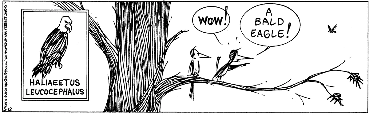May 13 2000, Daily Comic Strip