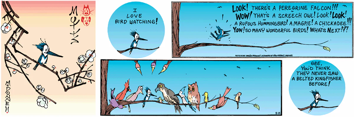 May 13 2001, Sunday Comic Strip