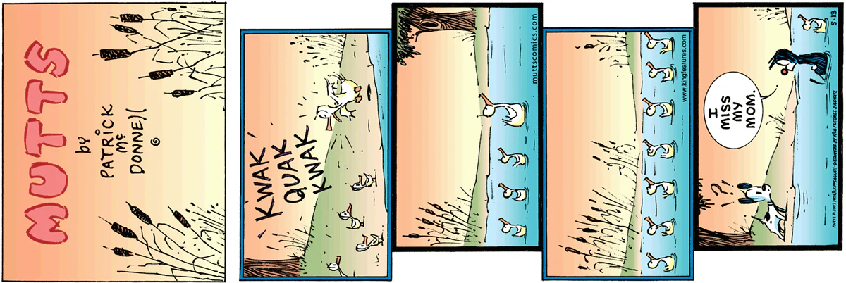 May 13 2007, Sunday Comic Strip