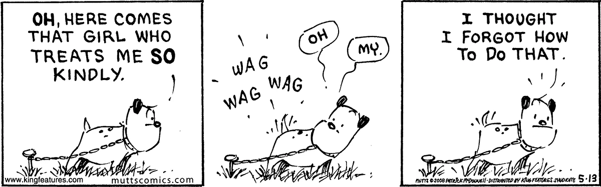 May 13 2008, Daily Comic Strip