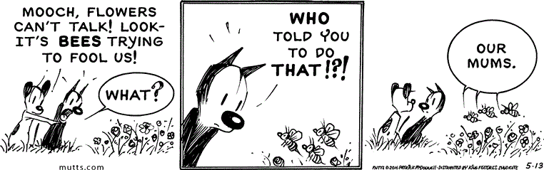 May 13 2016, Daily Comic Strip