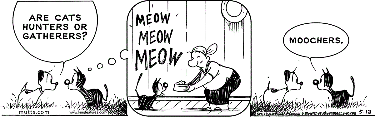 May 13 2020, Daily Comic Strip