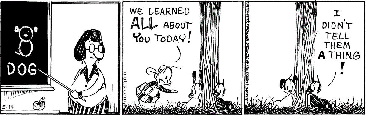 May 14 2024, Daily Comic Strip