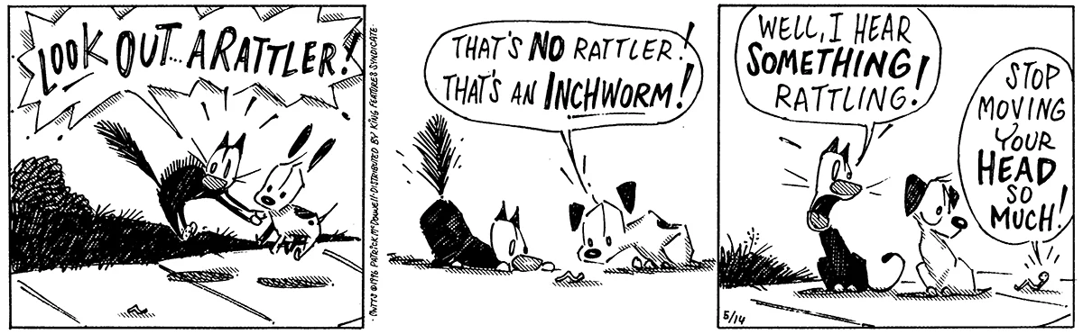 May 14 1996, Daily Comic Strip