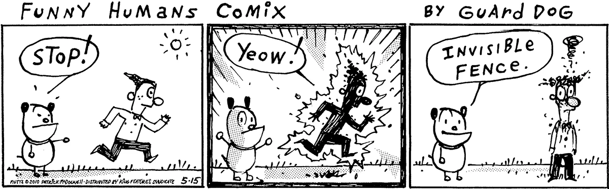 May 15 2010, Daily Comic Strip