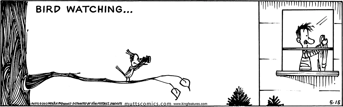 May 15 2013, Daily Comic Strip