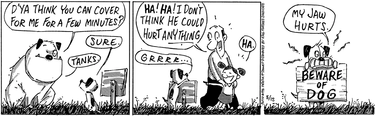 May 15 1996, Daily Comic Strip
