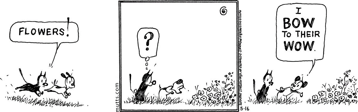 May 16 2023, Daily Comic Strip