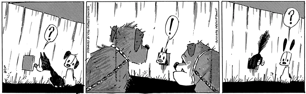 May 16 1996, Daily Comic Strip