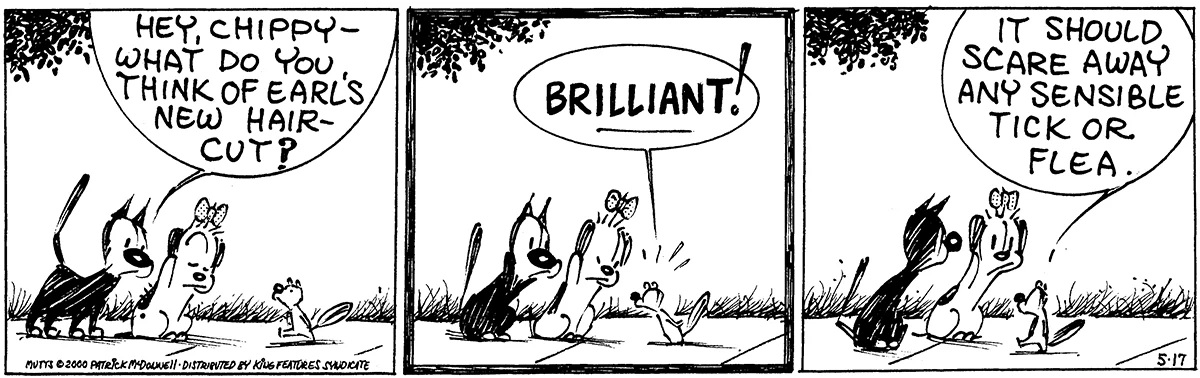 May 17 2000, Daily Comic Strip