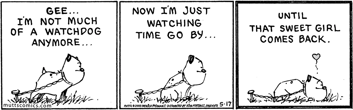 May 17 2008, Daily Comic Strip