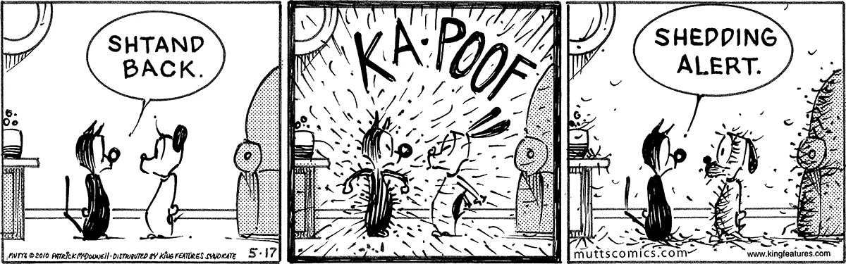 May 17 2010, Daily Comic Strip