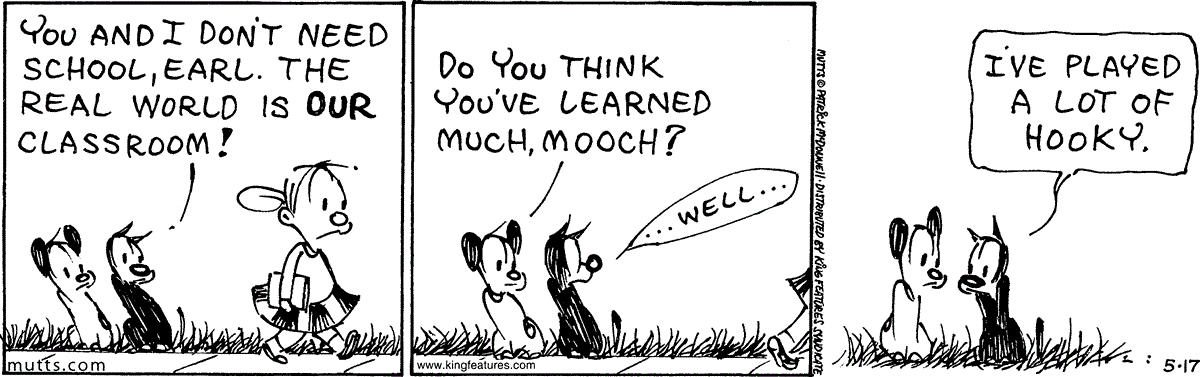 May 17 2024, Daily Comic Strip