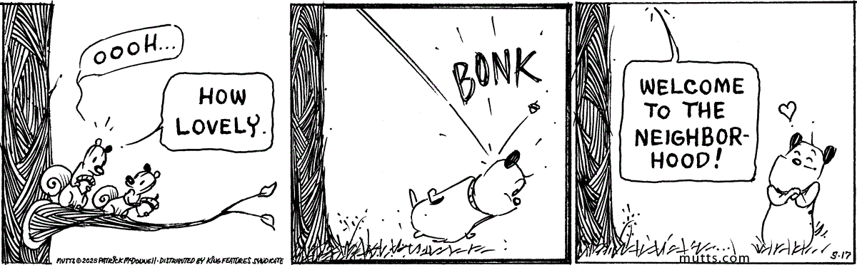 May 17 2025, Daily Comic Strip