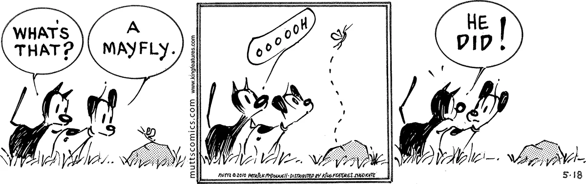 May 18 2010, Daily Comic Strip