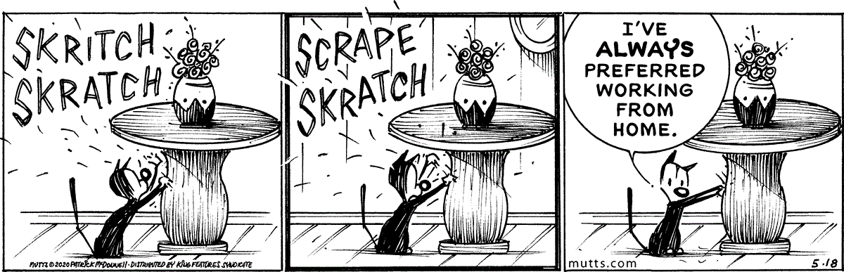 May 18 2020, Daily Comic Strip