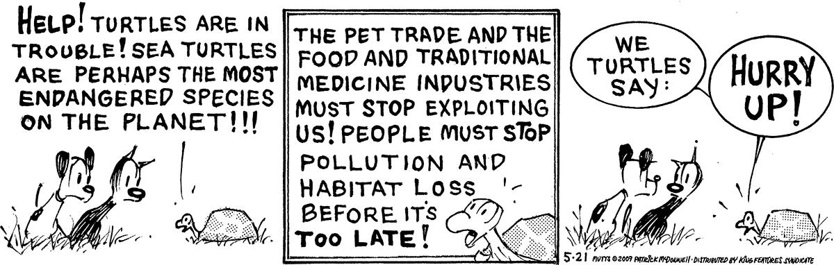 May 21 2009, Daily Comic Strip