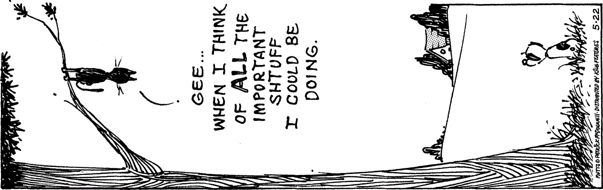 May 22 2024, Daily Comic Strip