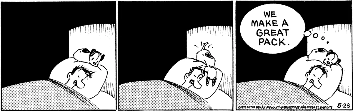 May 23 2007, Daily Comic Strip