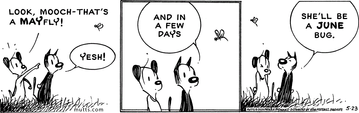 May 23 2020, Daily Comic Strip