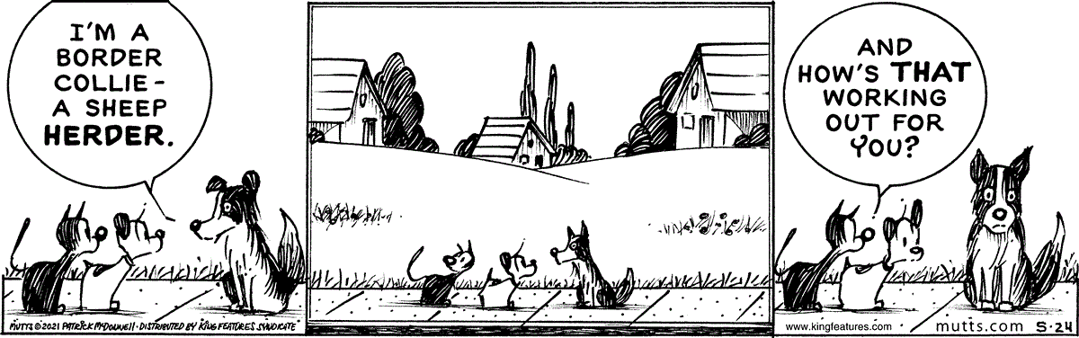 May 24 2021, Daily Comic Strip