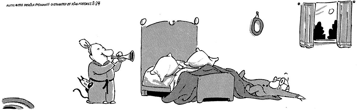 May 24 1995, Daily Comic Strip