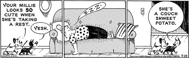 May 25 2017, Daily Comic Strip