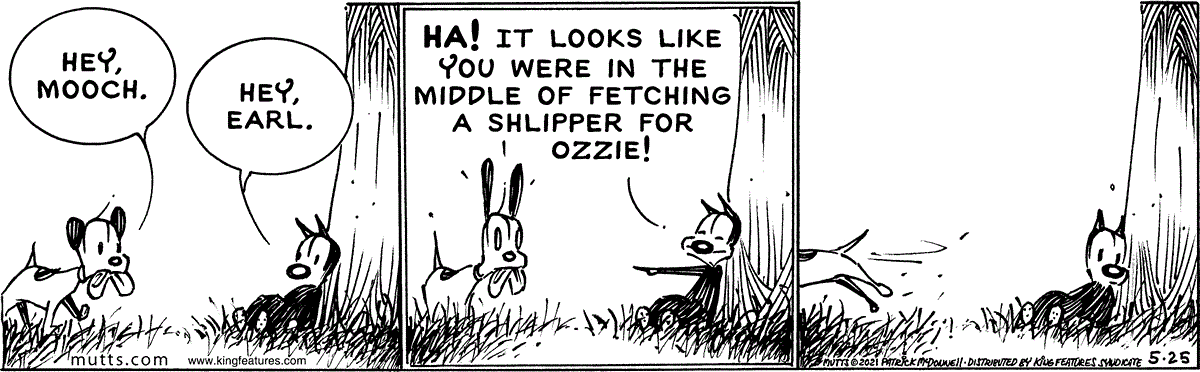 May 25 2021, Daily Comic Strip