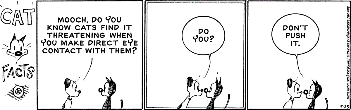May 25 2022, Daily Comic Strip