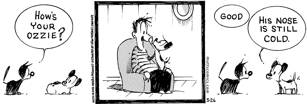 May 26 2006, Daily Comic Strip