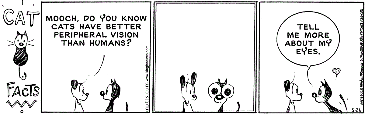 May 26 2022, Daily Comic Strip