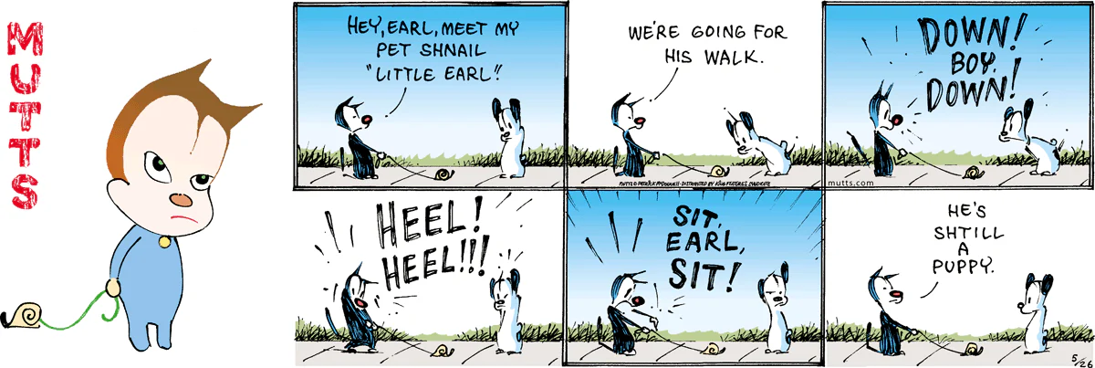 May 26 2024, Sunday Comic Strip