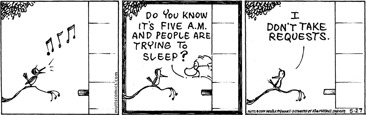 May 27 2004, Daily Comic Strip