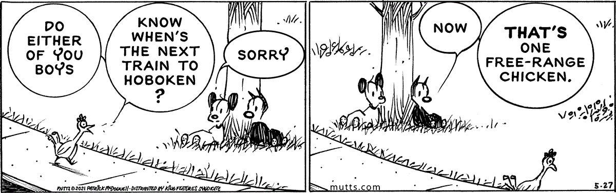 May 27 2021, Daily Comic Strip