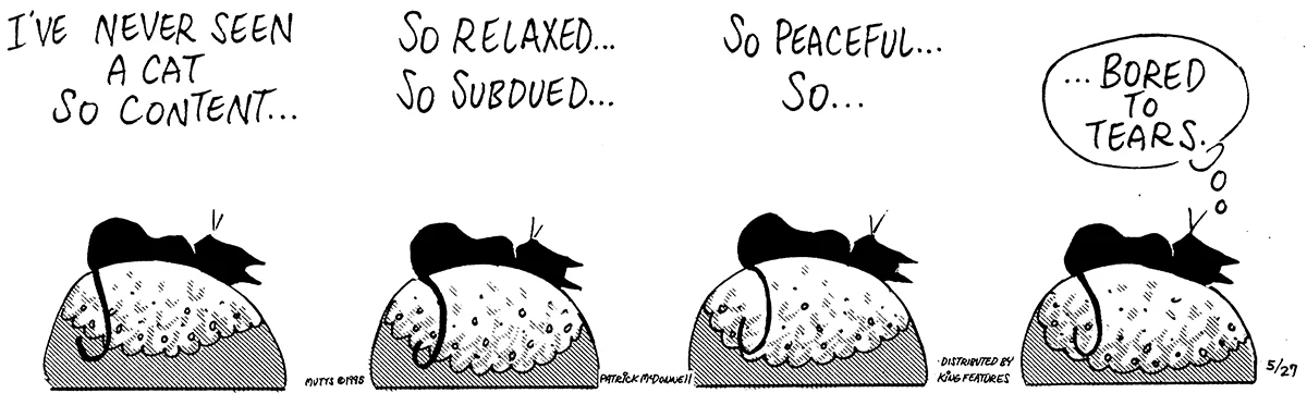 May 27 1995, Daily Comic Strip