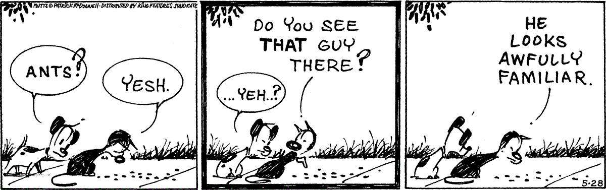 May 28 2024, Daily Comic Strip