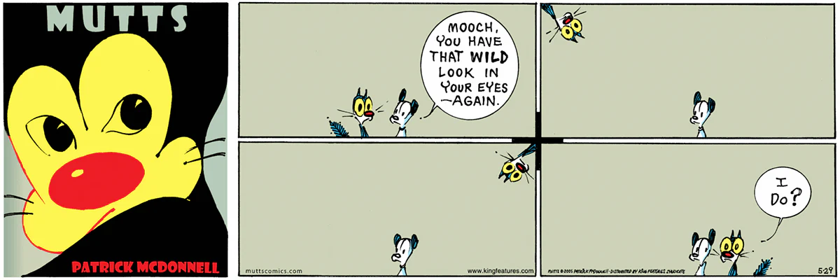 May 29 2005, Sunday Comic Strip