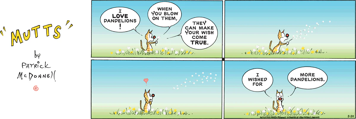 May 29 2022, Sunday Comic Strip