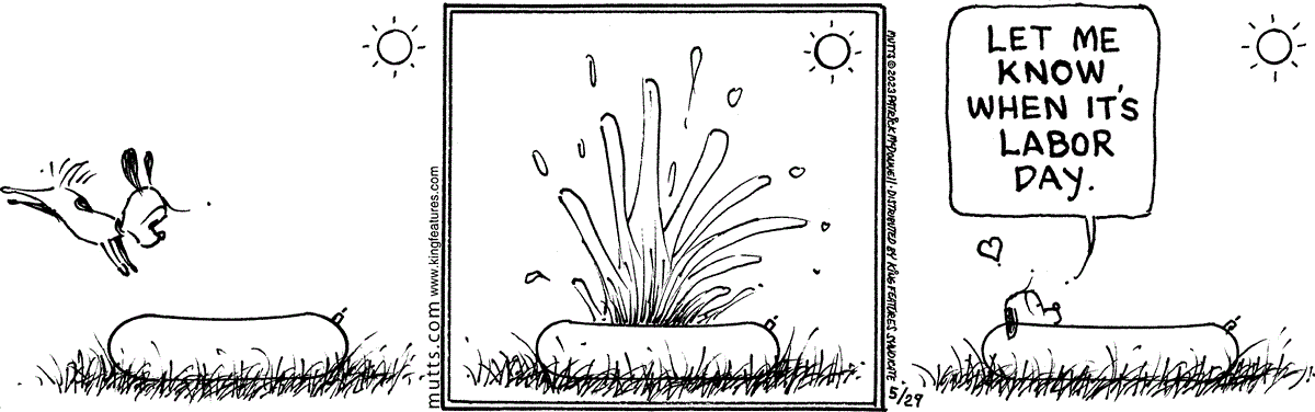 May 29 2023, Daily Comic Strip