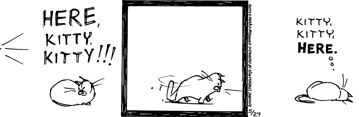 May 29 2024, Daily Comic Strip